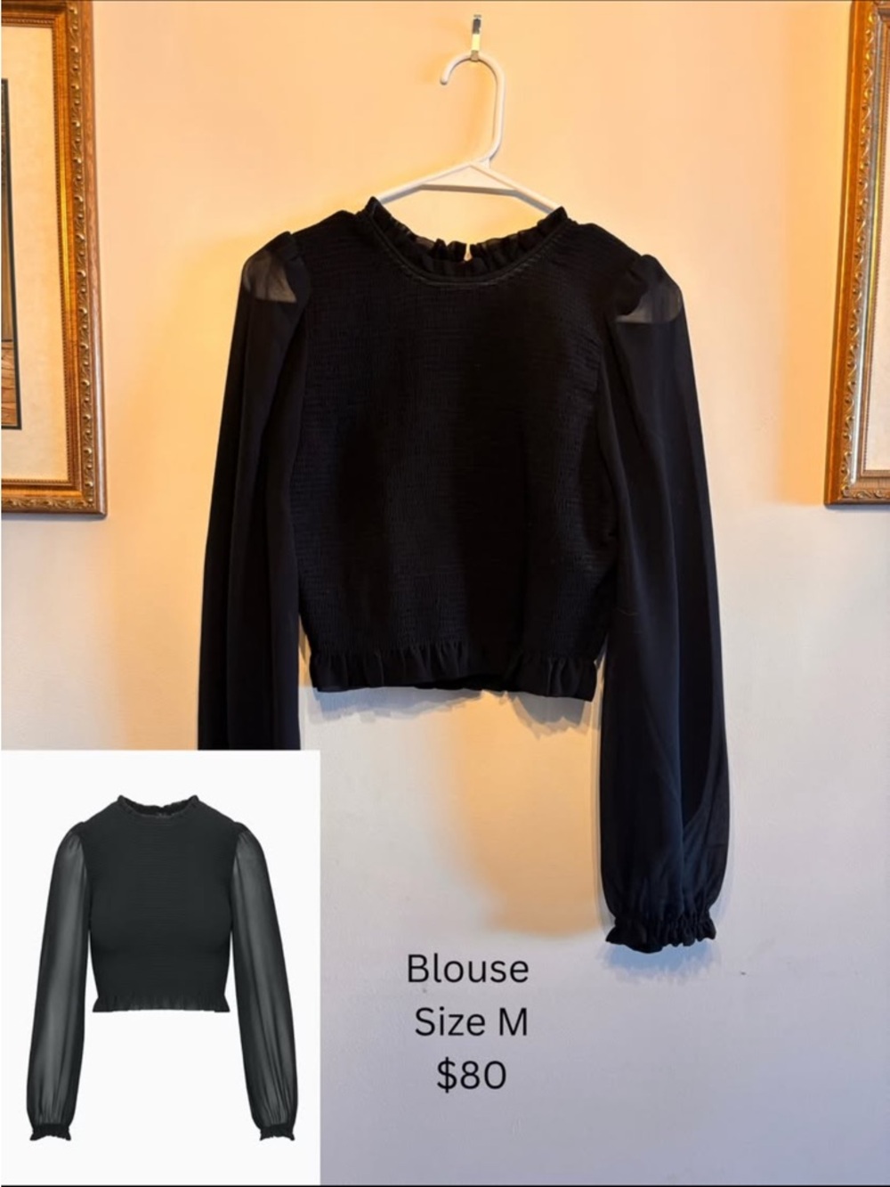 Aritzia Black Sheer-Sleeve Ruffle-Hem Blouse - Women